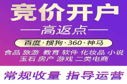SEM主管实战：案例分析与优化策略